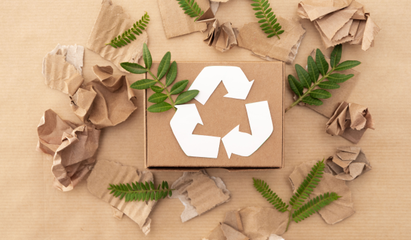 Image_Homescreen 600×350